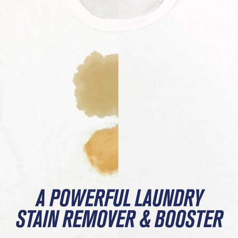 Biz Powder Stain and Odor Eliminator - Image 5