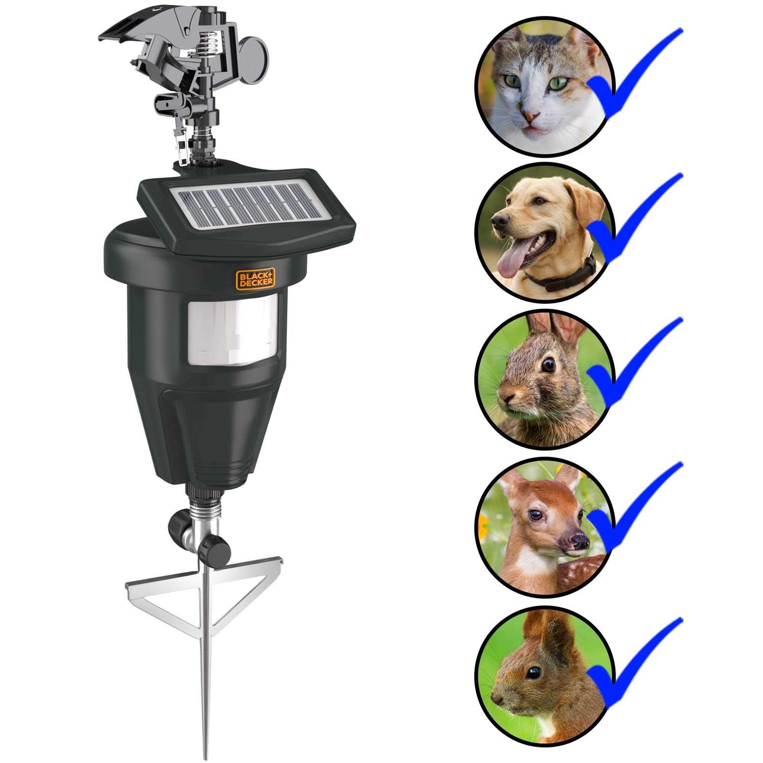BLACK+DECKER Cat Repellent Outdoor Squirrel Deterrent Solar Dog Repellent - Image 4