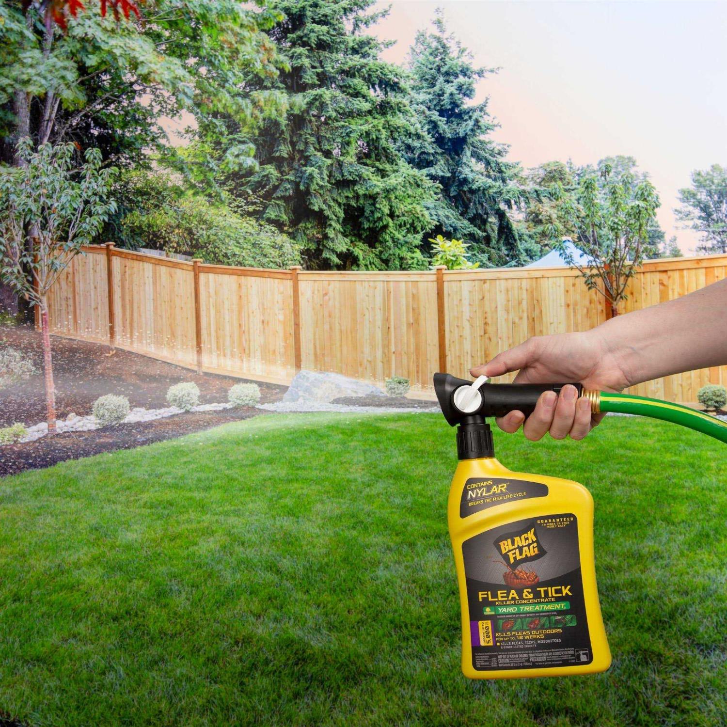 Black Flag Flea and Tick Killer Concentrate Yard Treatment - Image 3